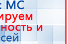 СКЭНАР-1-НТ (исполнение 01 VO) Скэнар Мастер купить в Долгопрудном, Аппараты Скэнар купить в Долгопрудном, Медицинская техника - denasosteo.ru